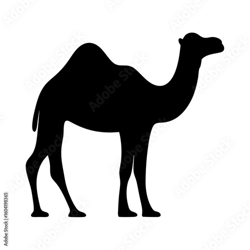 Silhouette of a camel standing peacefully in black and white image