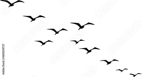 Flock of Birds Silhouette Flying Diagonally Across White Sky, Migration Concept Art