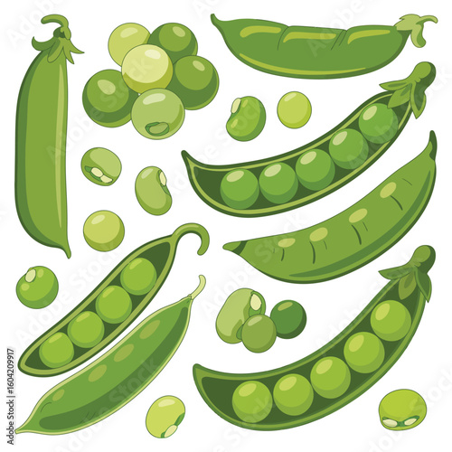 Fresh green peas in pods and shelled for healthy eating