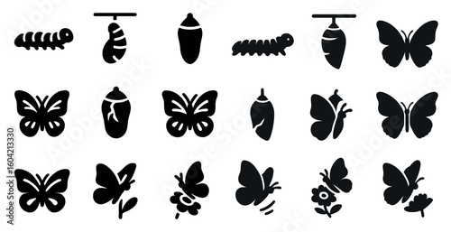 Butterfly lifecycle silhouette icons set – solid, filled, nature and metamorphosis symbols