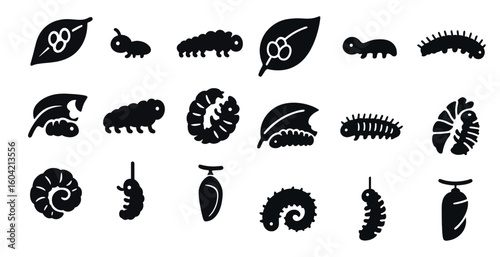 Caterpillar solid icons set – silhouette, insect, transformation symbols