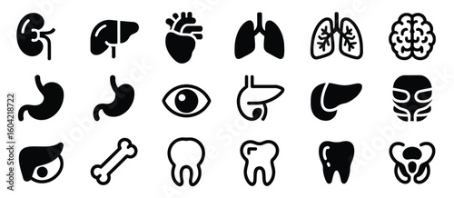 Collection of human organ icons in black and white