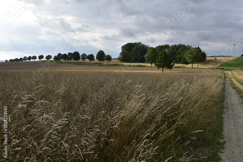 Landschaft und Ausblick zwischen Hildesheim und Salzgitter