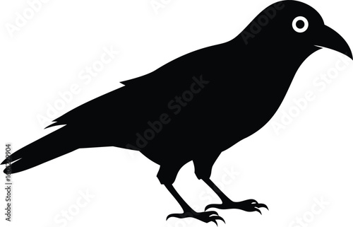 Silhouette of a Crow Standing on White Background, Bird with Black Feathers