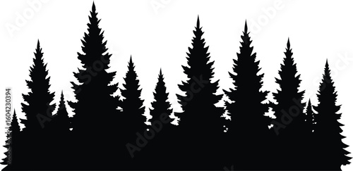 Silhouette of a Dense Forest of Evergreen Trees on a White Background, Illustration