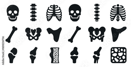Human anatomy solid icons set – flat, medical, skeletal and bone structure symbols