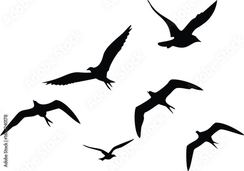 Silhouetted Birds in Flight Against a White Background, Minimalist Avian