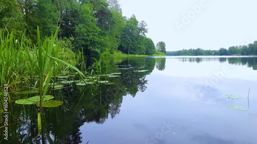 Landscape of a summer, daytime lake with forest.