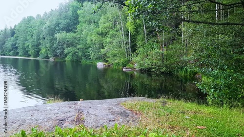 Landscape of a summer, daytime lake with forest.