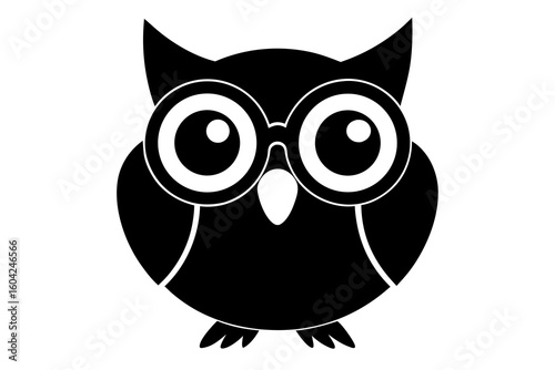 owl on white background