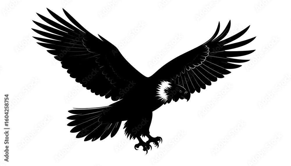 Fototapeta premium Black silhouette of a soaring eagle