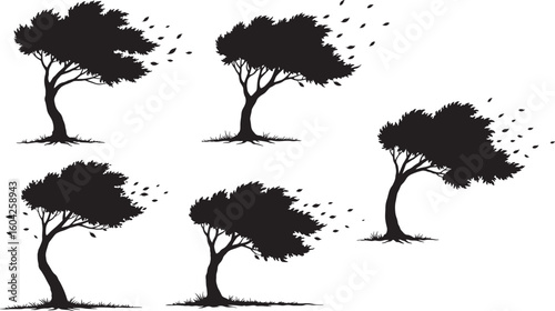  Tree Bending Strong Wind silhouette