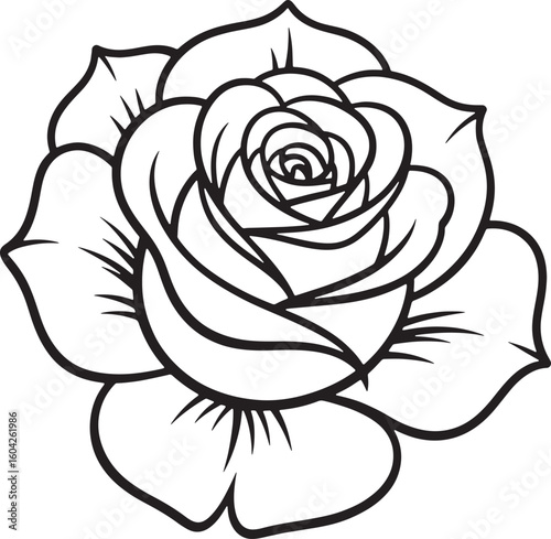 Detailed black and white line art of a blooming rose flower petals