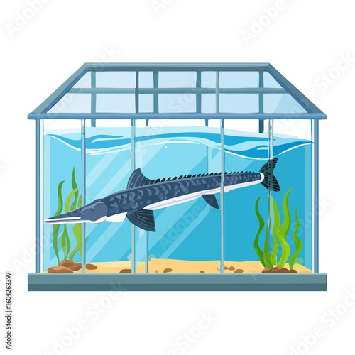 Alligator Gar in Aquarium Illustration