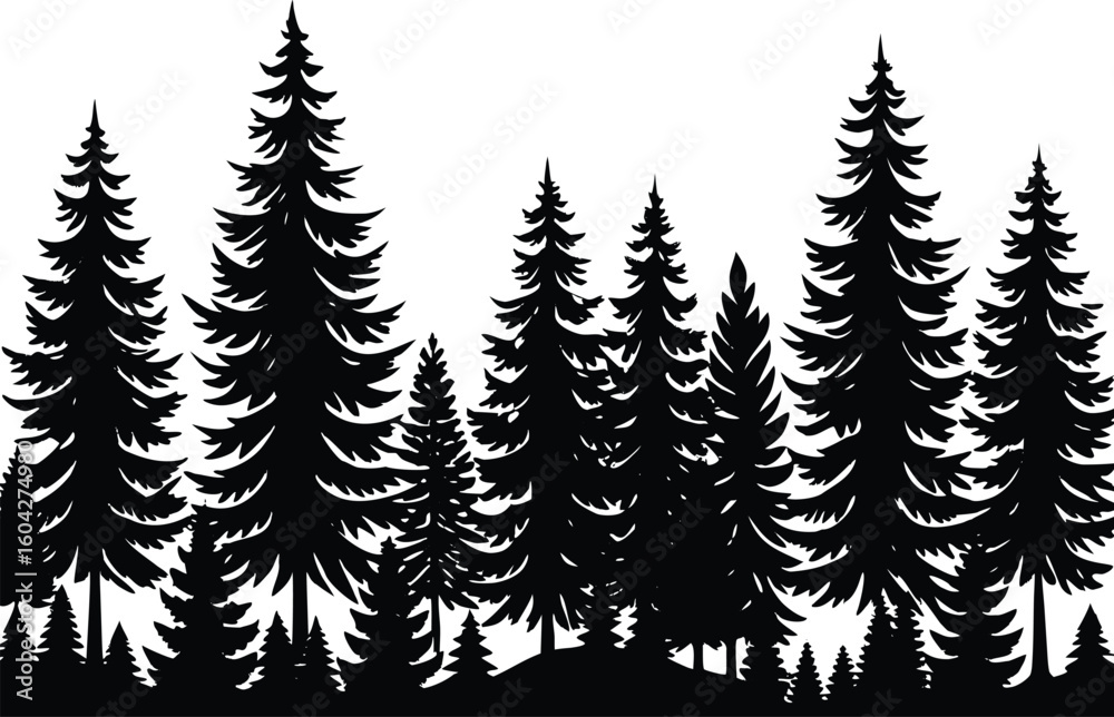 Obraz premium seamless fir tree forest border silhouette