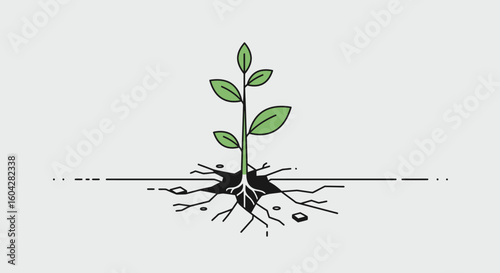 Green seedling pushing through cracked earth representing growth and resilience
