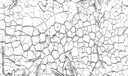 Cracked, dry, and aged natural textures: old wood, grunge wall, and tree bark surfaces
