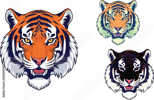 Three tiger heads with different color schemes and designs on a white background vector graphic art