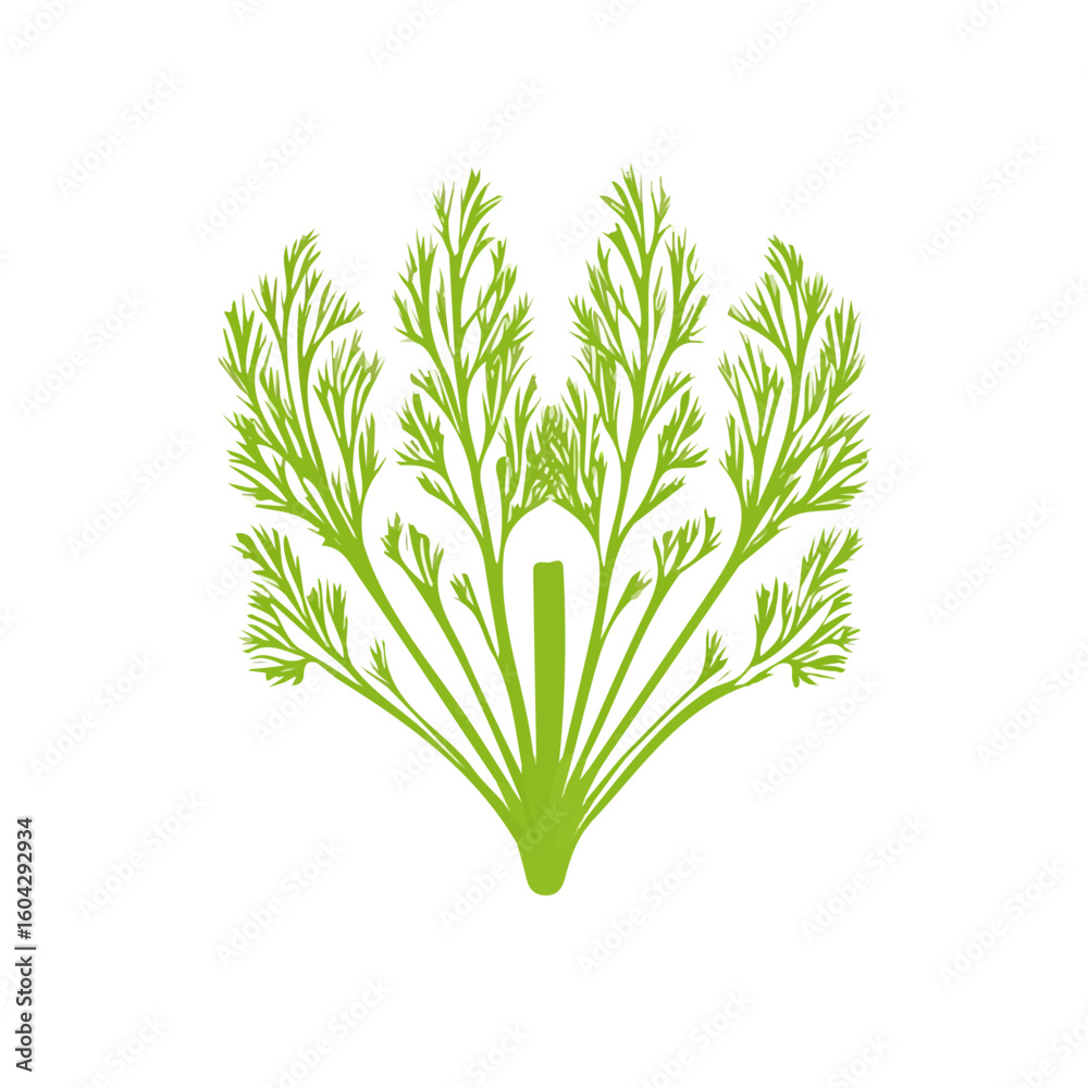 Obraz premium My Simple flat 2D illustration of an icon fennel leaves isolated on a white background, vector 2D design, icon, flat 2d illustration art, Eps painting, Vector set design