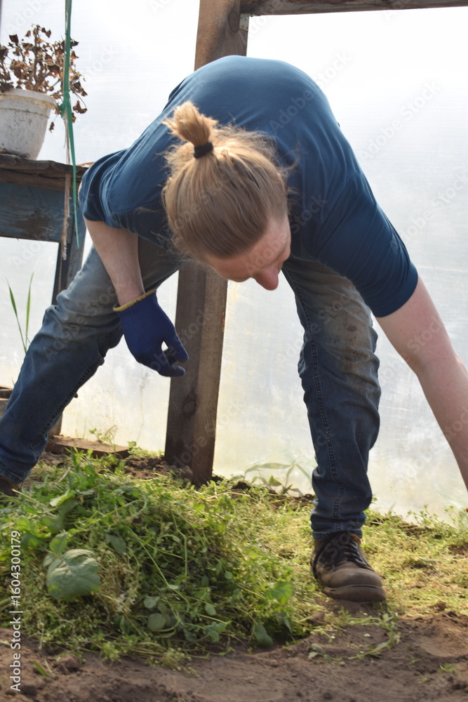 Fototapeta premium Young man engaged in household chores and small-scale rural farming, tending to his garden with care and dedication. His daily routine reflects a sustainable and self-sufficient way of life