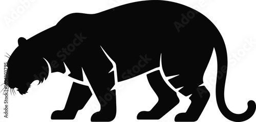 Powerful Black Panther Silhouette Stalking in the Dark Night silhouette