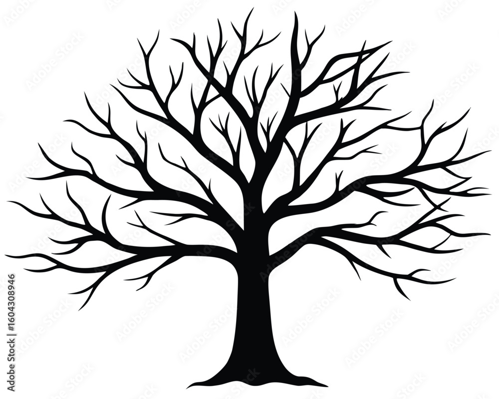 A bare tree with many branches in black isolated on white background