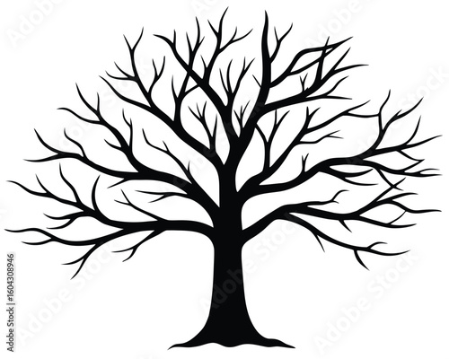 A bare tree with many branches in black isolated on white background