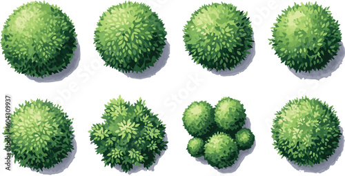 Vector art of topdown view of various green bushes and shrubs ideal for landscaping and design projects isolated on transparent background