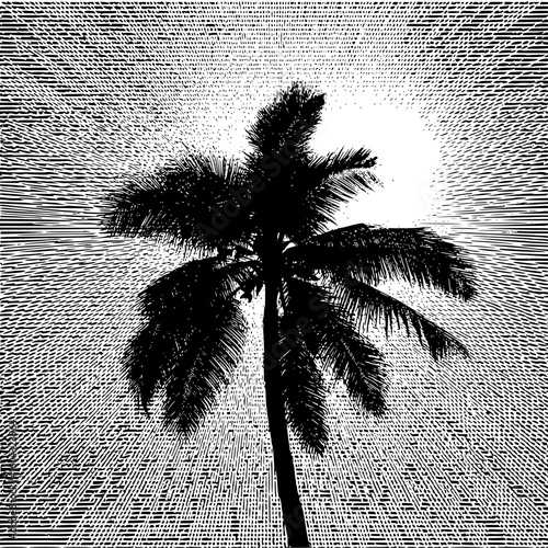 Silhouette of a palm tree against a radiating hatched background in black and white halftone style