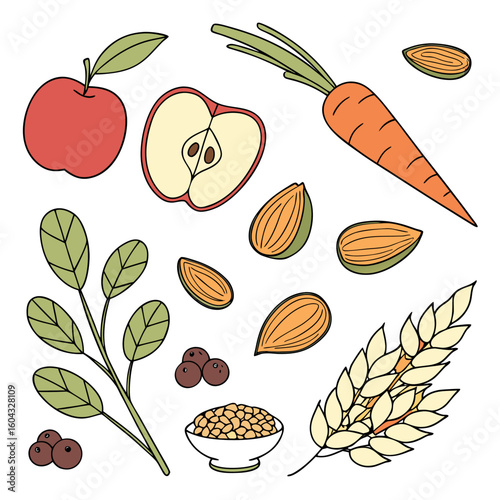 A vibrant collection of healthy foods including a whole and sliced apple a carrot almonds berries grains and a leafy branch presented in a simple colorful illustration
