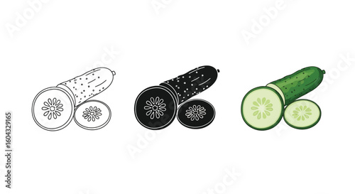 Illustration of Sliced Cucumber in Various Views
