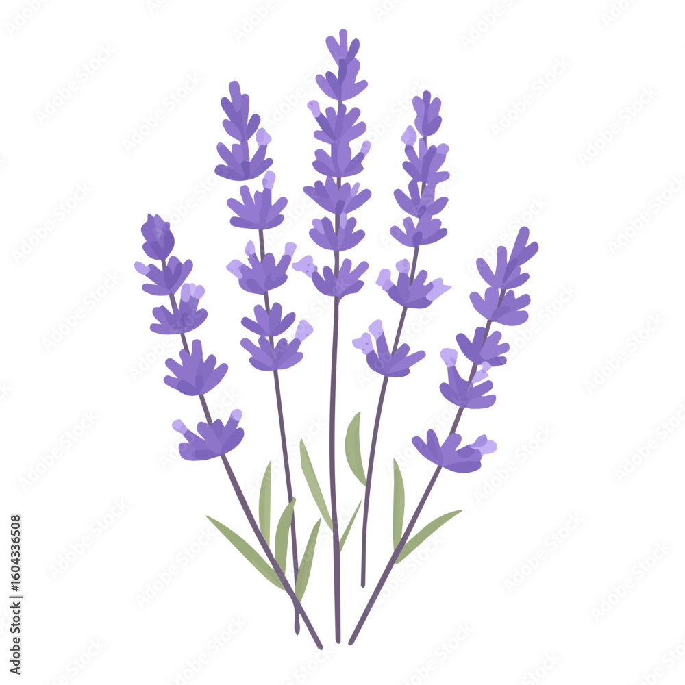 Fototapeta premium My Simple flat 2D icon of a purple lavender branch isolated on a white background, vector design, ideal for animation, vector, web design, digital illustrations, and minimalism. EPS format, vector