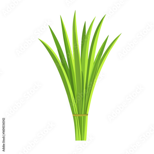My Simple flat 2D icon of green lemongrass leaves isolated on a white background, vector design, ideal for animation, vector, web design, digital illustrations, and minimalism. EPS format, vector