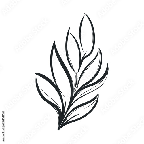 Elegant botanical design for decoration or branding purpose