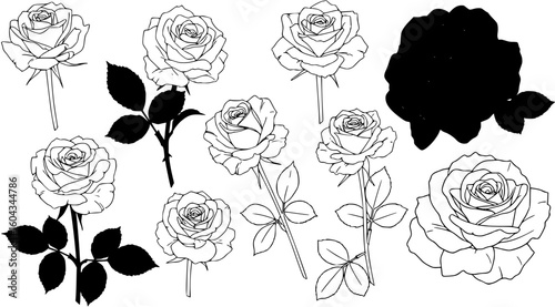 Rose set black silhouette vector illustration
