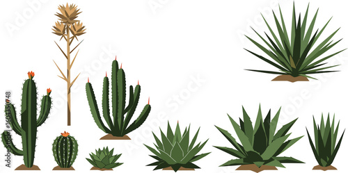 Minimalist Desert Plant Vector Design