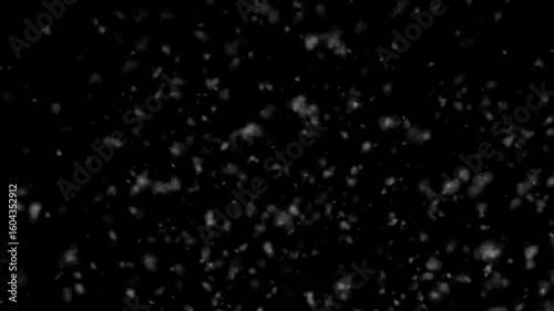 Violent Snow Swirl Storm With Fast Heavy Flakes On Black Background