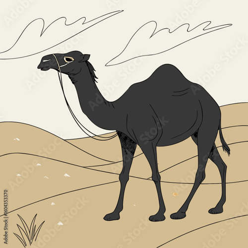 camel on the beach