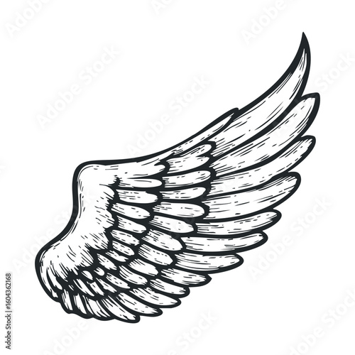 Detailed wing design for creative projects and artistic expressions