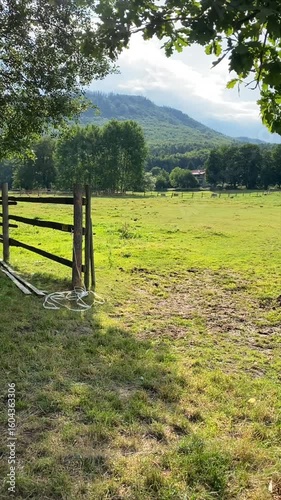 sunset light on a peaceful horse paddock with wooden fence and grassy field surrounded by trees and mountains, rural landscape with warm summer atmosphere. concept countryside tourism, eco village