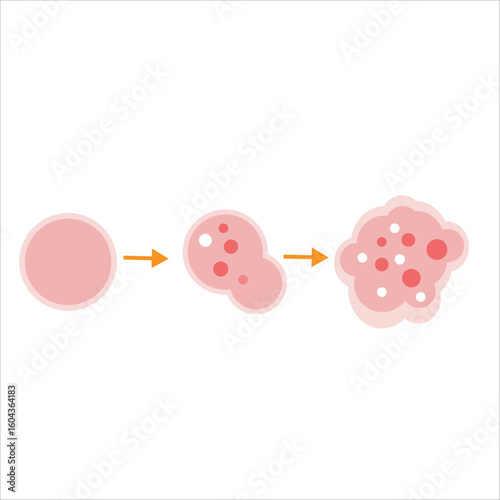 Cancer Cell Growth and Division Process. Cancer Disease Concept