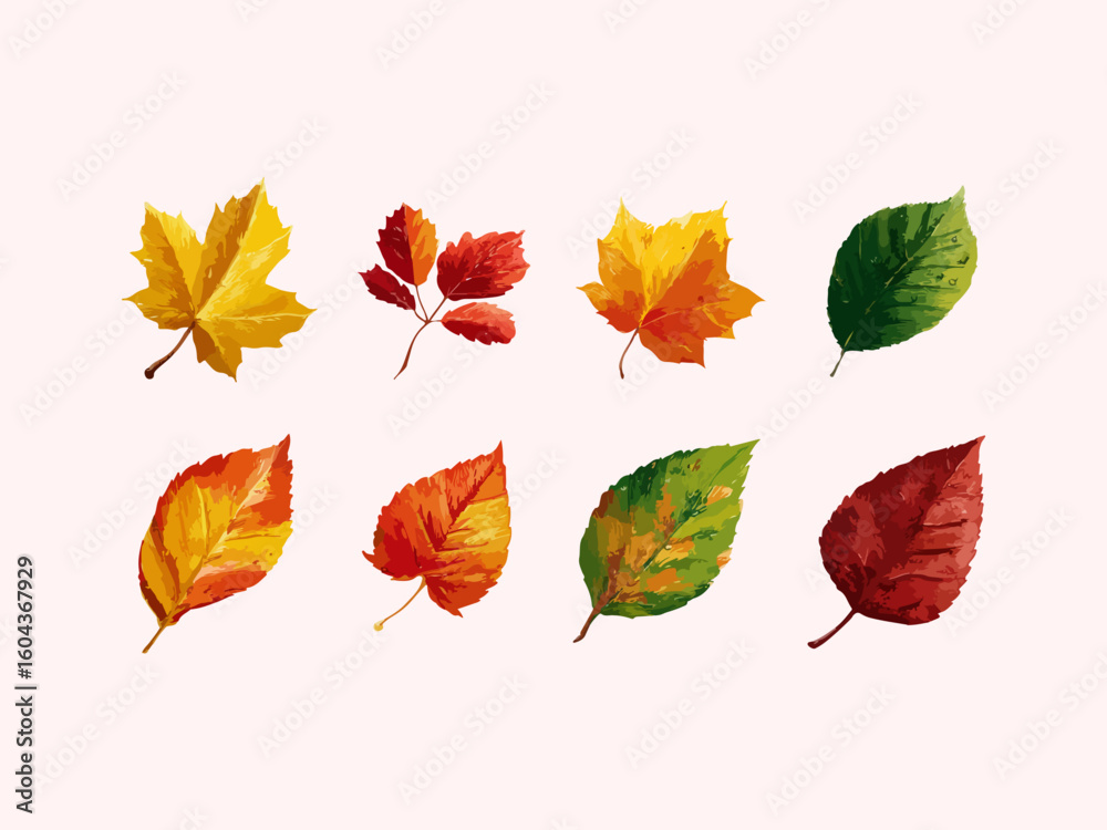 Obraz premium Autumn leaves illustration vector