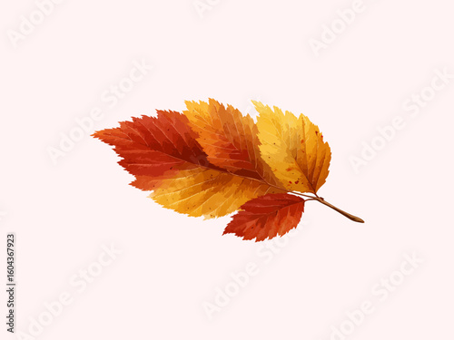 Autumn leaves illustration vector