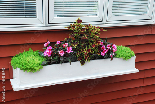 White window box with annual flowers in full bloom against a house with red siding