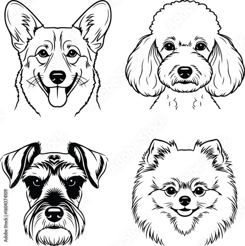 Four Cute Dog Breed Portraits in a Monochrome Design
