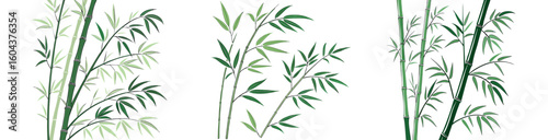 Elegant bamboo forest stems and leaves botanical zen style vector illustration

