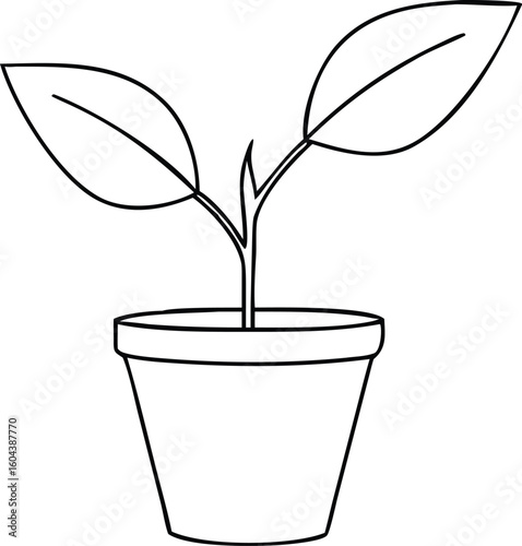 Plant in pot vector illustration of a young tree with leaves and flowers
