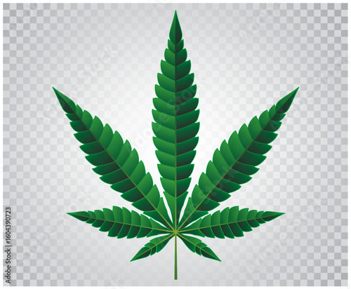 hemp leaf