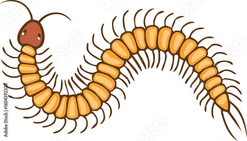 Cartoon illustration of a segmented centipede, with orange segments and brown head.