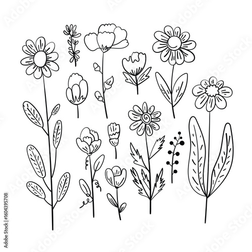 Assorted floral elements in clean linear illustration.